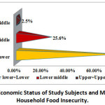 Figure 1: Socio Economic Status of Study Subjects and Moderate/Severe Household Food Insecurity.