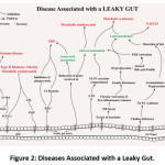 Figure 2: Diseases Associated with a Leaky Gut.