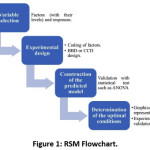 Figure 1: RSM Flowchart.