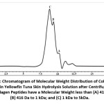 Figure 1: Chromatogram of molecular weight distribution of collagen peptides in yellowfin tuna skin hydrolysis solution after centrifugation. The collagen peptides have a molecular weight less than (A) 416 Da; (B) 416 Da to 1 kDa; and (C) 1 kDa to 5kDa