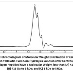 Figure 1: Chromatogram of molecular weight distribution of collagen peptides in yellowfin tuna skin hydrolysis solution after centrifugation. The collagen peptides have a molecular weight less than (A) 416 Da; (B) 416 Da to 1 kDa; and (C) 1 kDa to 5kDa