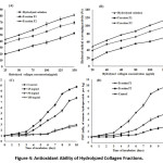 Figure 4: Antioxidant Ability of Hydrolyzed Collagen Fractions.