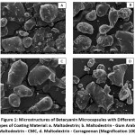 Figure 1: Microstructures of Betacyanin Microcapsules with Different Types of Coating Material: a. Maltodextrin; b. Maltodextrin - Gum Arabic, c. Maltodextrin - CMC, d. Maltodextrin - Carrageenan (Magnification 1000x)