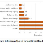 Figure 1: Reasons Stated for not Breastfeeding.