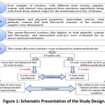 Figure 1: Schematic Presentation of the Study Design.