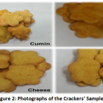 Figure 2: Photographs of the Crackers’ Samples.
