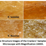 Figure 3: Surface Structure Images of the Crackers’ Samples Under a Digital Microscope with Magnification 1600X.