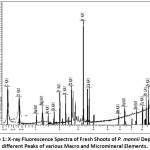 Figure 1: X-ray Fluorescence Spectra of Fresh Shoots of P. mannii Depicting different Peaks of various Macro and Micromineral Elements.