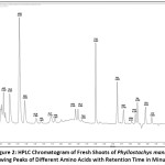 Figure 2: HPLC Chromatogram of Fresh Shoots of Phyllostachys mannii Showing Peaks of Different Amino Acids with Retention Time in Minutes.