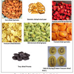 Figure 1: Fruits Dried by Various Drying Methods.