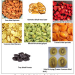Figure 1: Fruits Dried by Various Drying Methods.