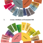 Figure 5: Aroma Attributes of a) Non-fermented RB and b) Fermented RB by QDA.