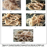 Figure 2: Cooked Noodles Prepared from Blends of RWF and GHF: A = 10% GHF:90% RWF; B = 20% GHF:80% RWF; C = 30% GHF:70% RWF; D = 40% GHF:60% RWF; Control = 100% RWF.
