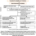 Figure 1: The Diagram of Cluster Randomization Design used for Nutrition BCC Intervention.
