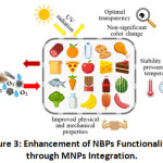 Figure 3: Enhancement of NBPs Functionalities through MNPs Integration.