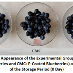 Figure 1: Overall Appearance of the Experimental Groups (Control, CMC-Coated Blueberries and CMC+P-Coated Blueberries) at the Beginning of the Storage Period (0 Day)