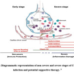 Vol_10_No_1_Arei_Sus_Fig1