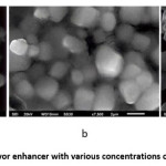 Figure 3: Morphology of umami flavor enhancer with various concentrations of MD (a) 10 %, (b) 20 %, and (c)30 %