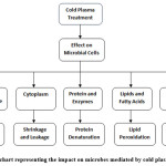 Vol_10_No_2_Col_Nik_fig1