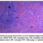 Vol_10_No_2_Viv_Hod_fig3