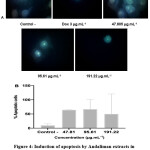 Vol_10_No_3_Inh_Suli_fig4