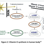 Vol_10_No_3_Stu_Mon_fig2