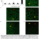 Vol_11_No_1_Eth_And_fig4