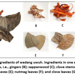 Vol_11_No_1_Bio_Ika_fig1