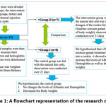 Vol_11_No_1_Cov_WaO_fig1