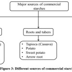 Vol_11_No_1_sta_Sur_fig3