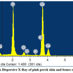 Vol_11_No_2_Com_Khu_fig4